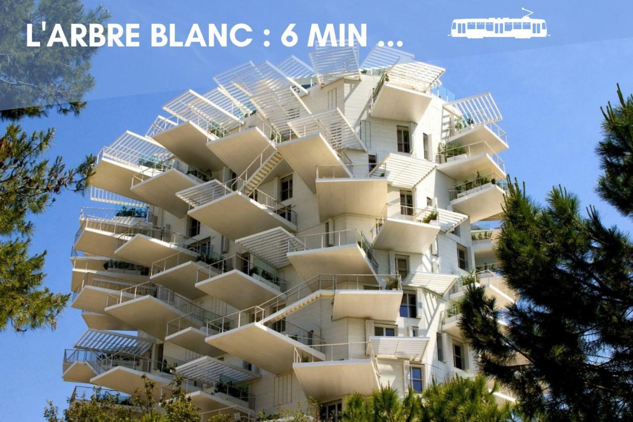 Nouveau - Jungle Montpeul - Clim - Wifi Fibre - Netflix - 5' Du Centre Et Gare - Parking - Loggia - 15' Des Plages مونبيلييه المظهر الخارجي الصورة