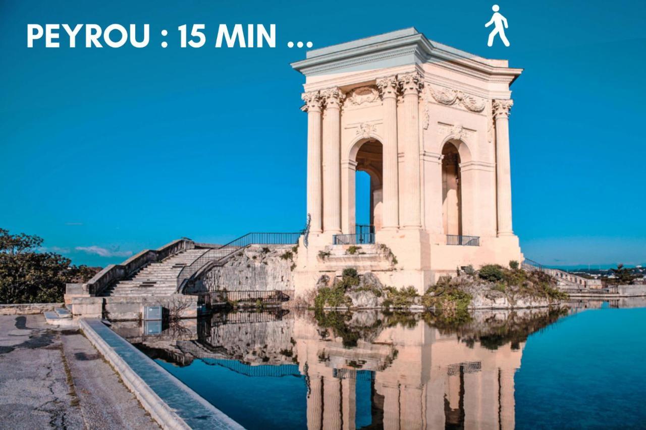 Nouveau - Jungle Montpeul - Clim - Wifi Fibre - Netflix - 5' Du Centre Et Gare - Parking - Loggia - 15' Des Plages مونبيلييه المظهر الخارجي الصورة
